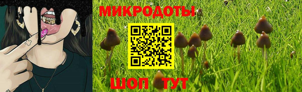 Галлюциногенные грибы мухоморы Губаха