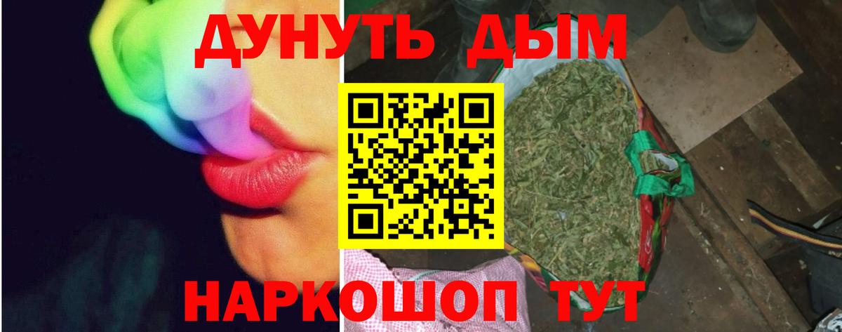 Шишки марихуана план Губаха